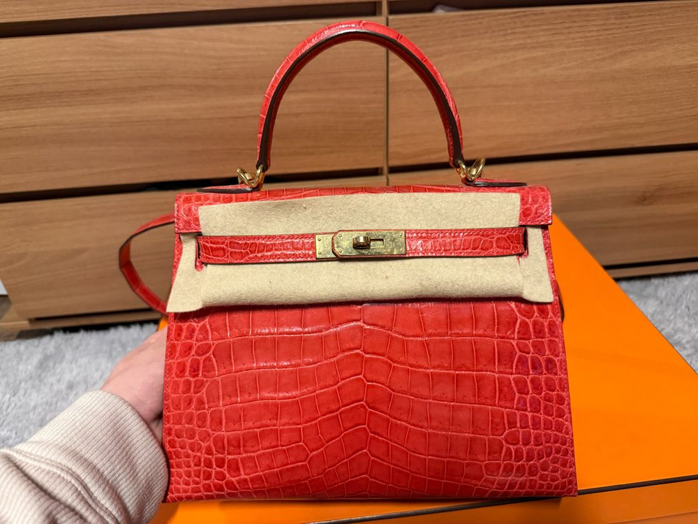 켈리25 올수공 포로수스 이미지