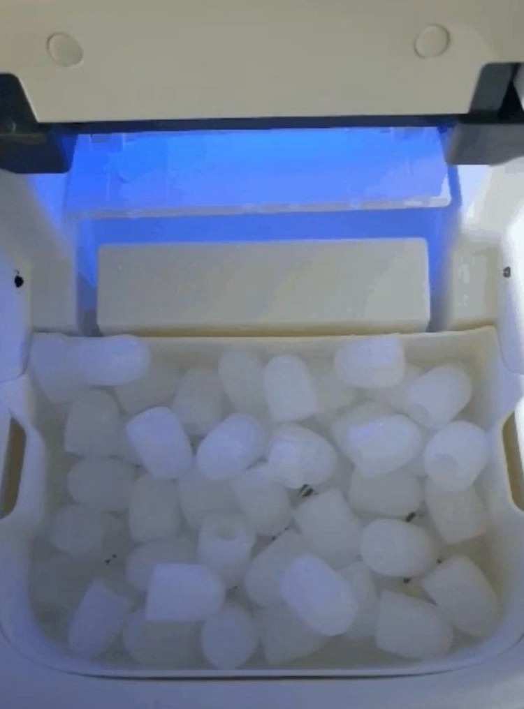 프롬비 FROM 제빙기 얼음 캠핑 살균 제빙 FD216 이미지