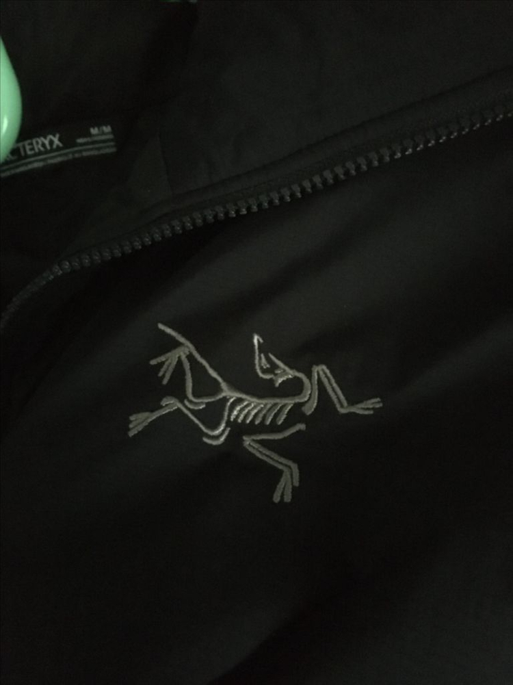 아크테릭스 아톰 후디 이미지