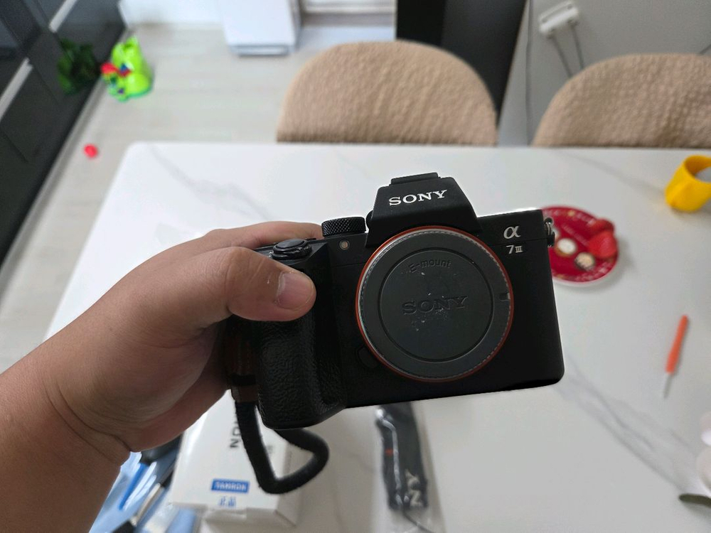 소니 a7m3 + 탐론 20-200 이미지