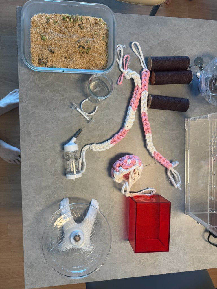 피그미 다람쥐 케이스 및 용품 풀셋트 이미지