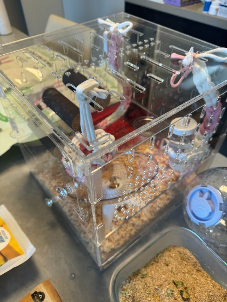 피그미 다람쥐 케이스 및 용품 풀셋트 이미지