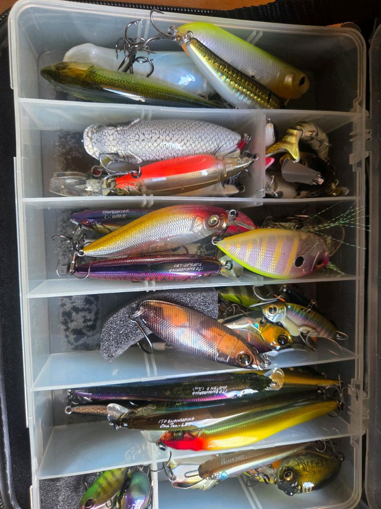 배스낚시전체 이미지