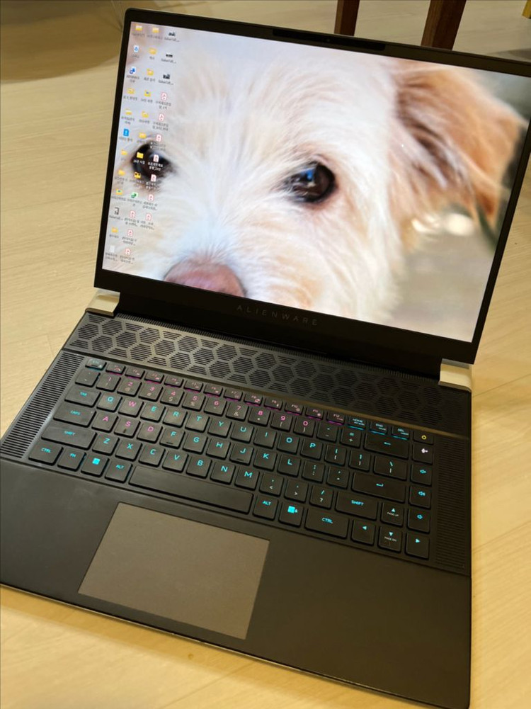 에일리언웨어 X16/ 9-13900HKI RTX4080/ RAM32GB/3TB 이미지