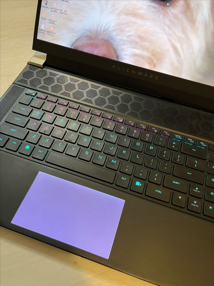 에일리언웨어 X16/ 9-13900HKI RTX4080/ RAM32GB/3TB 이미지