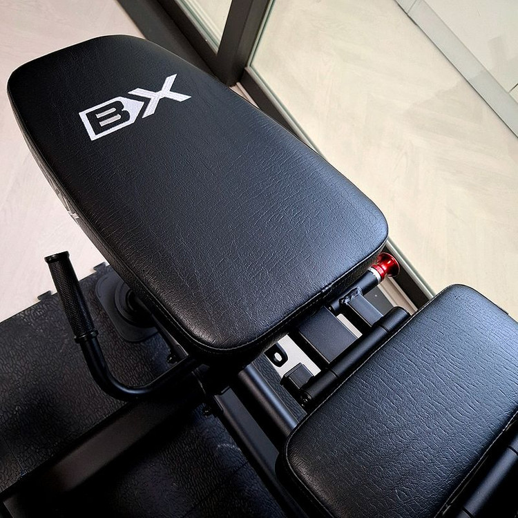 바디엑스 신투 듀얼 레그컬 레그익스텐션 DL6.3 이미지