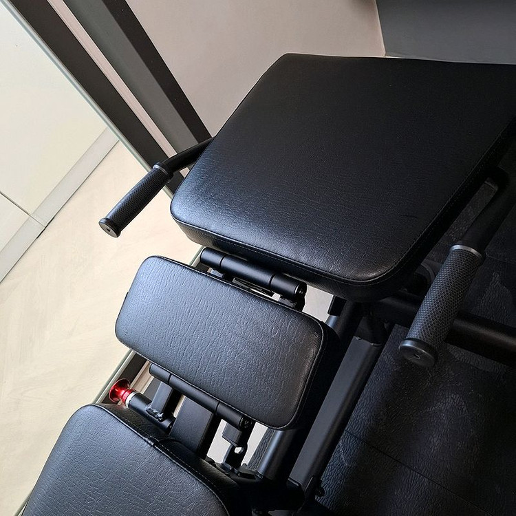 바디엑스 신투 듀얼 레그컬 레그익스텐션 DL6.3 이미지