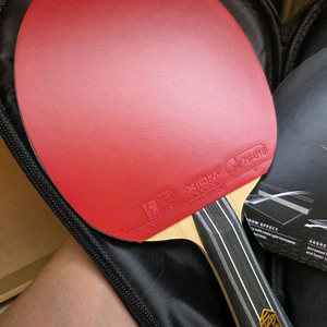 판젠동 ZLC + 엑시옴 오메가4 러버 탁구라켓 미즈노 사이클링5 운동화 팝니다 이미지