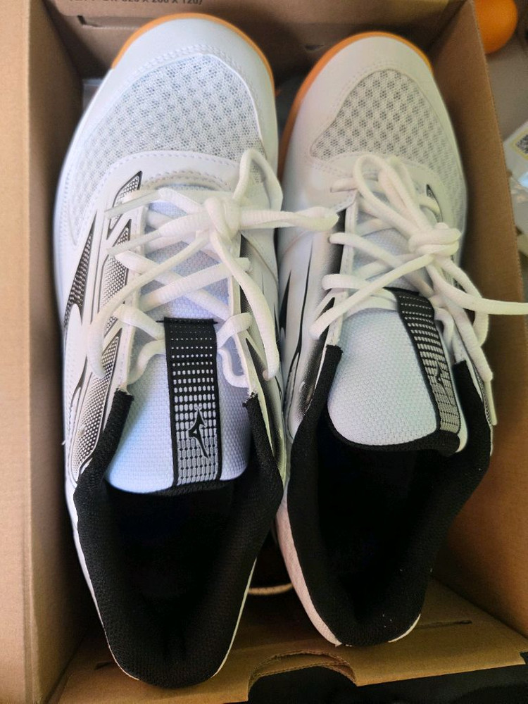 판젠동 ZLC + 엑시옴 오메가4 러버 탁구라켓 미즈노 사이클링5 운동화 팝니다 이미지