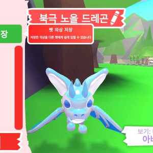 입양하세요 펫 북극 노을 드래곤(북노드)판매합니다 이미지