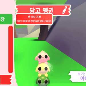 입양하세요 펫 당고 펭귄 판매합니다 이미지