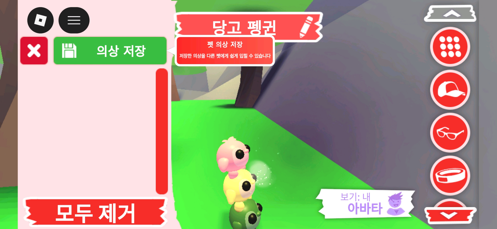 입양하세요 펫 당고 펭귄 판매합니다 이미지