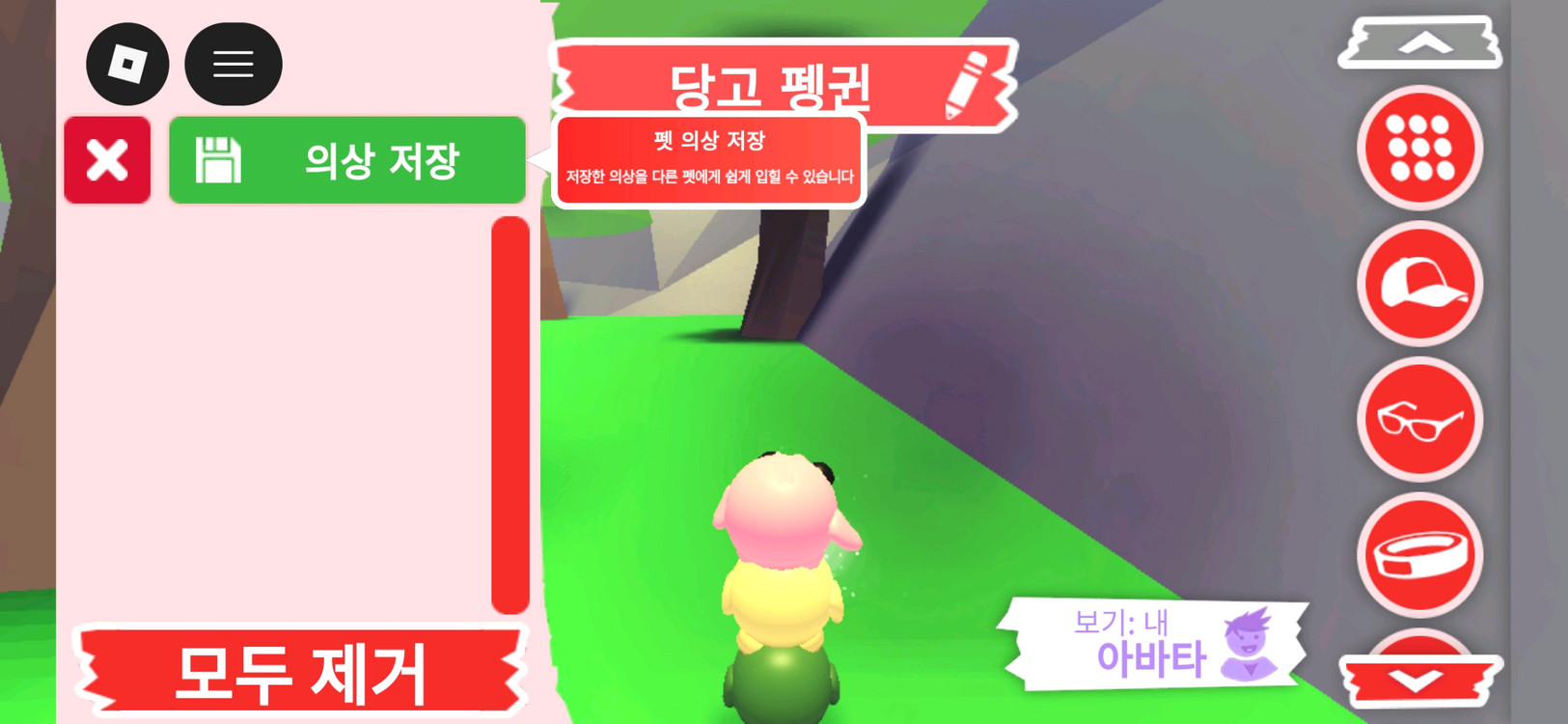 입양하세요 펫 당고 펭귄 판매합니다 이미지