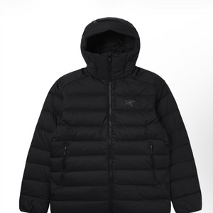 아크테릭스 토륨 후디 블랙 2xl xxl 명품패딩 이미지