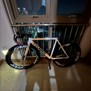 쓰나미 화이트 하급구성 개 급처(판매만) 이미지