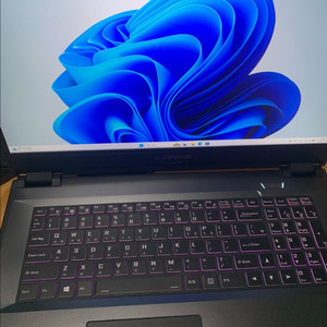 리오나인 17인치 i7-10875H RTX 2070슈퍼 300Hz 이미지