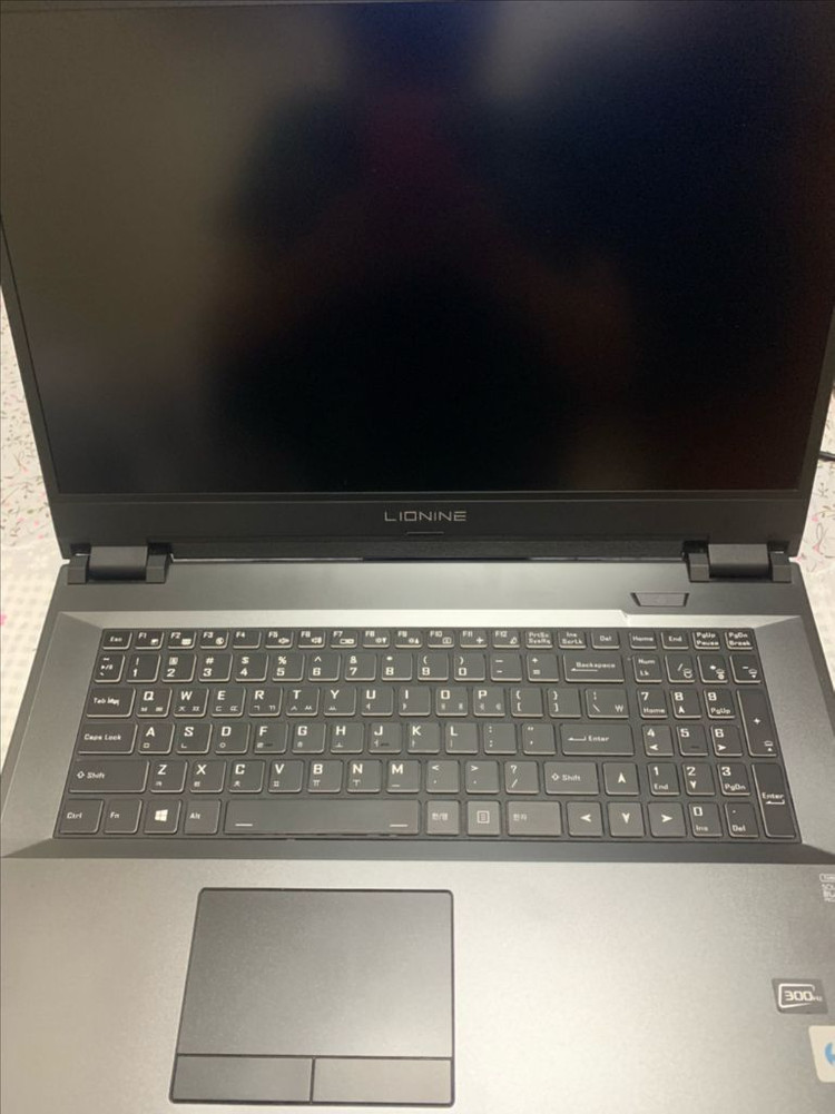 리오나인 17인치 i7-10875H RTX 2070슈퍼 300Hz 이미지