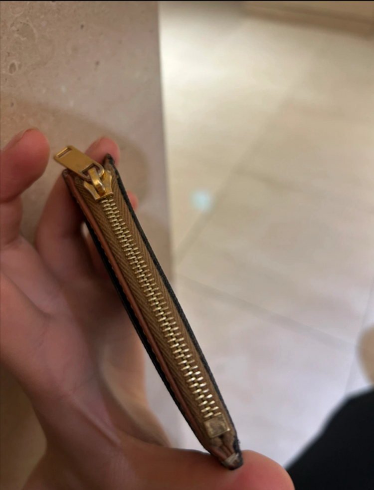 셀린느 트리옹프 카드지갑 브라운 (오늘만급처) 이미지