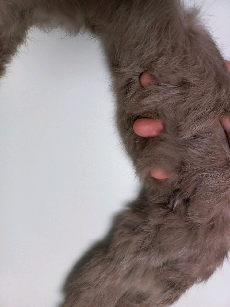 핑거홀 롱장갑 , 방울 퍼 목도리 일괄 3개 이미지