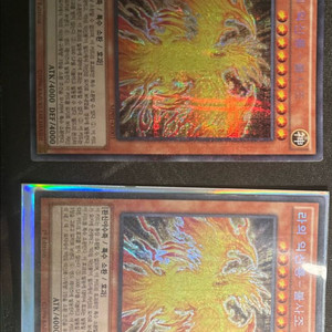 유희왕 라의익신룡 불사조 (밀레니엄 시크릿 레어) 이미지