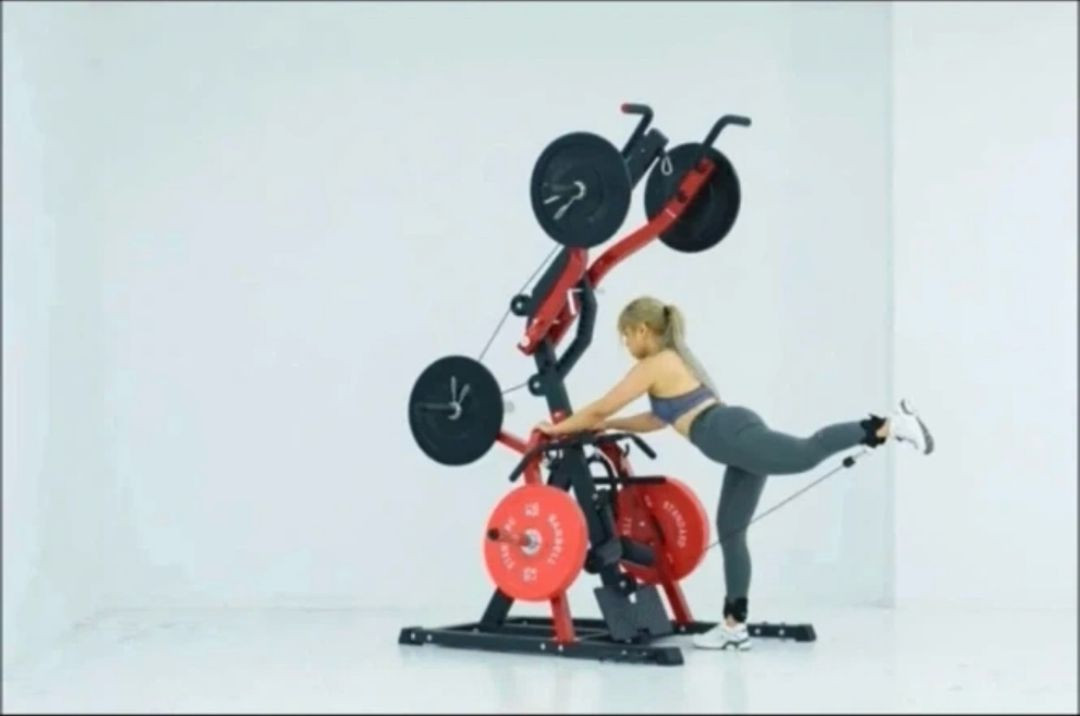 레버리지짐 전신 운동기구 (모든 부위 운동 가능!) 이민정리 이미지