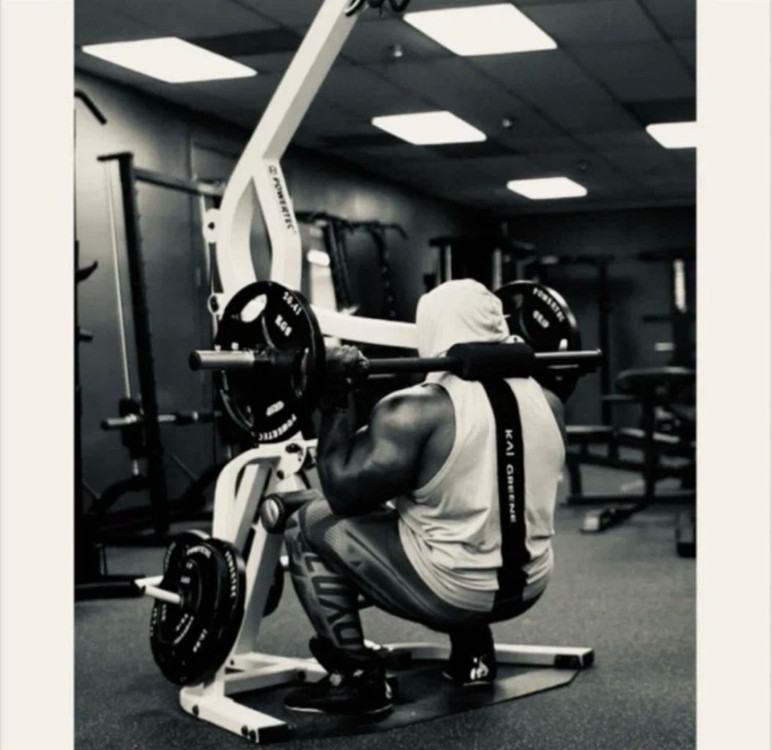 레버리지짐 전신 운동기구 (모든 부위 운동 가능!) 이민정리 이미지