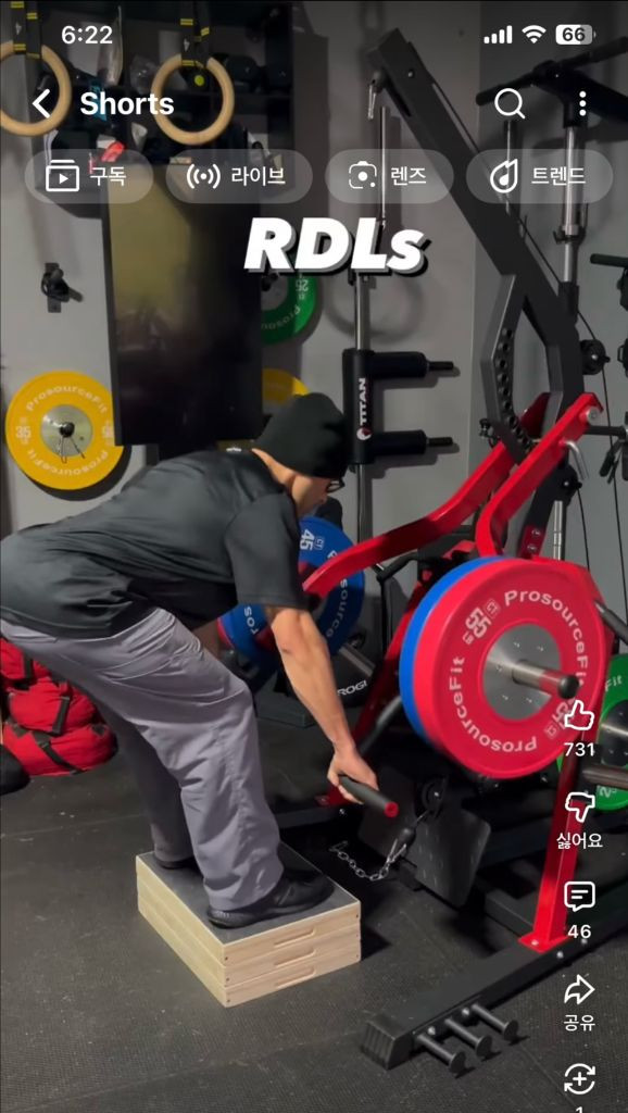 레버리지짐 전신 운동기구 (모든 부위 운동 가능!) 이민정리 이미지