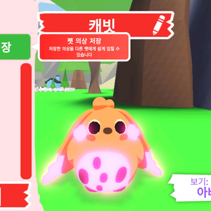 입양하세요 펫 메가 네온 캐빗(메캐빗)판매합니다 이미지