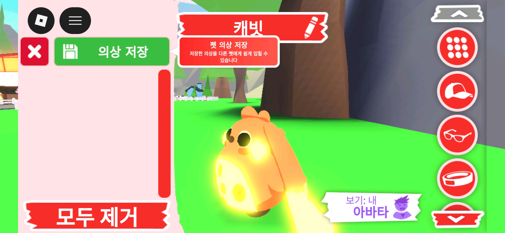 입양하세요 펫 메가 네온 캐빗(메캐빗)판매합니다 이미지