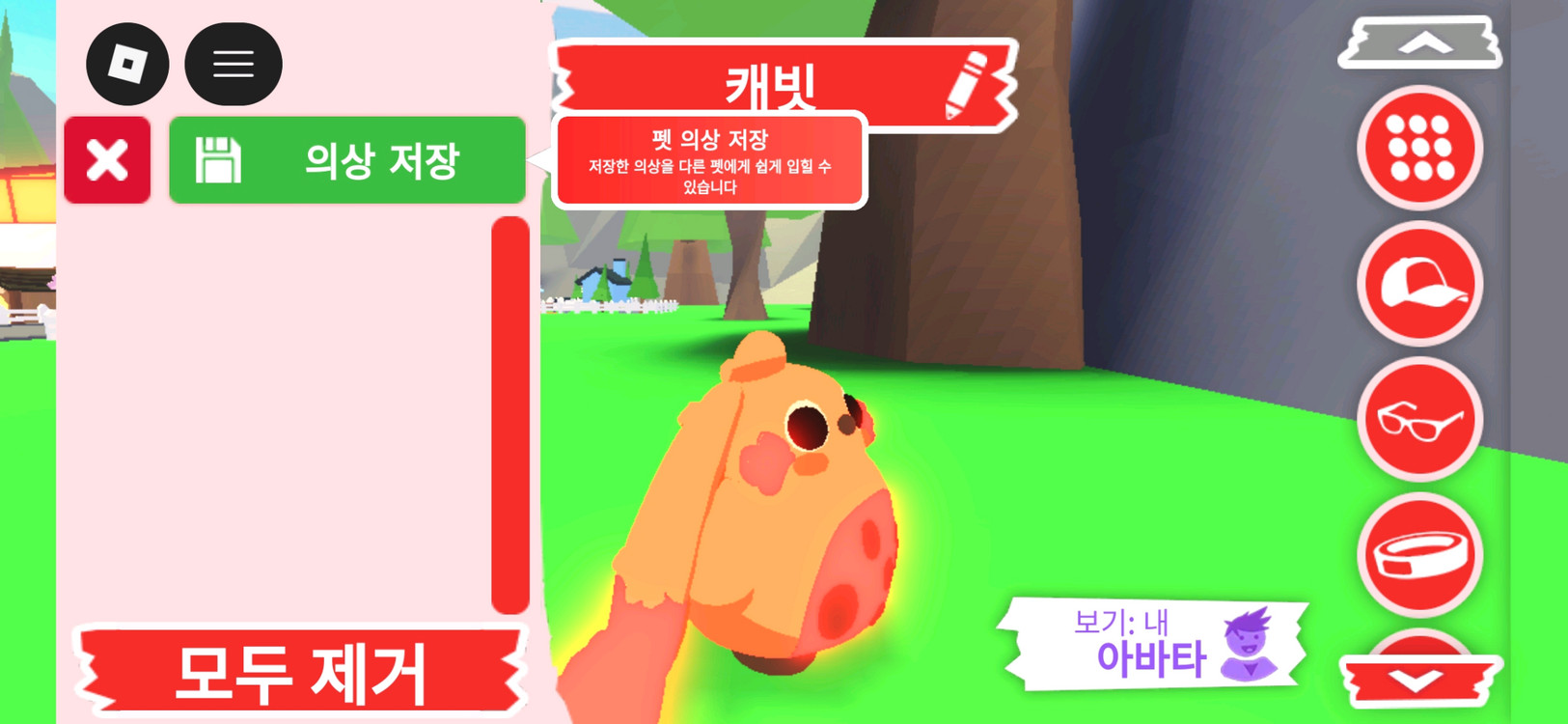 입양하세요 펫 메가 네온 캐빗(메캐빗)판매합니다 이미지