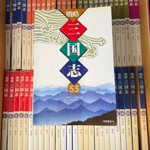 요코야마 미츠테루 전략 삼국지 전권 판매합니다 이미지