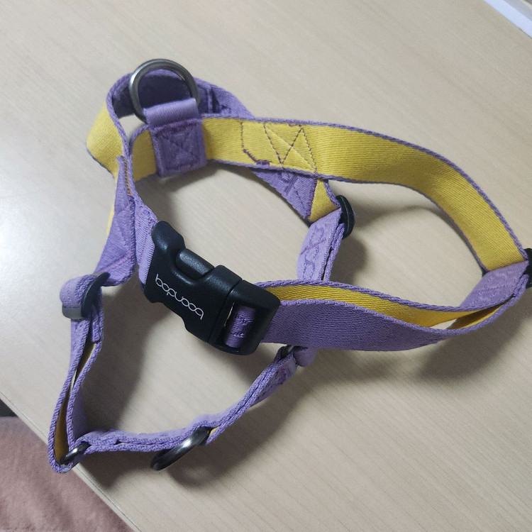 분독 퍼플레몬 강아지 하네스 m 이미지