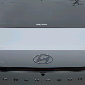 중형 세단 익스쿠르 트림 이미지