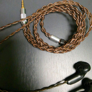 부르비트 사운드 주문제작 오픈형 커스텀 이어폰 팝니다. 이미지