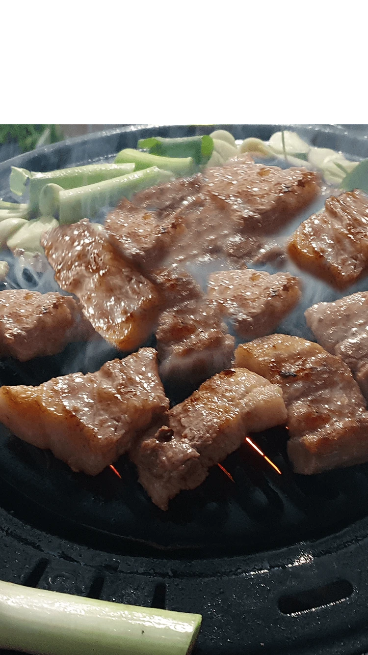 모이스그릴 캠핑 숯불 불판 이미지