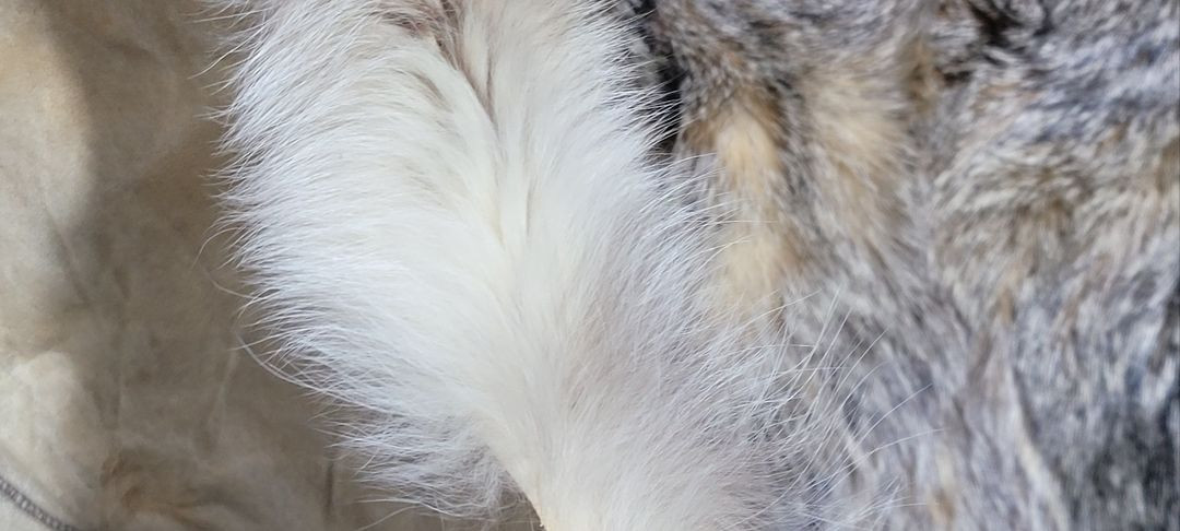 독일 천연 (폭스)여우털 대형 얇은 러그 - DE102 이미지