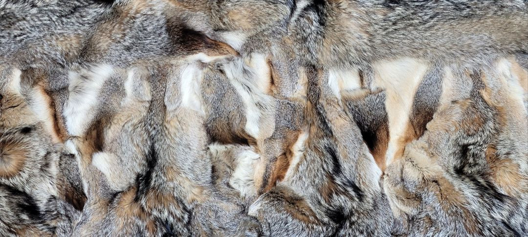 독일 천연 (폭스)여우털 대형 얇은 러그 - DE102 이미지