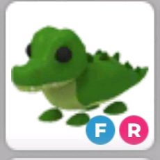 입양하세요 악어 이미지