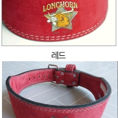 타이탄롱혼 ,인저 벨트 L 싱글 프롱 팝니다 이미지