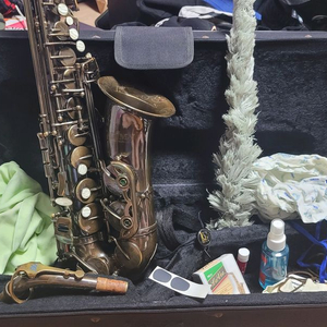 알토 색소폰 세트 이미지