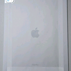 아이패드 프로 6세대 12.9 256 셀룰러 새제품 이미지