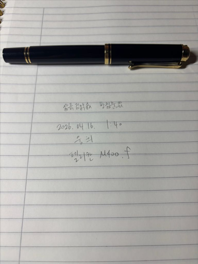 펠리칸 m400 f닙 블랙 이미지