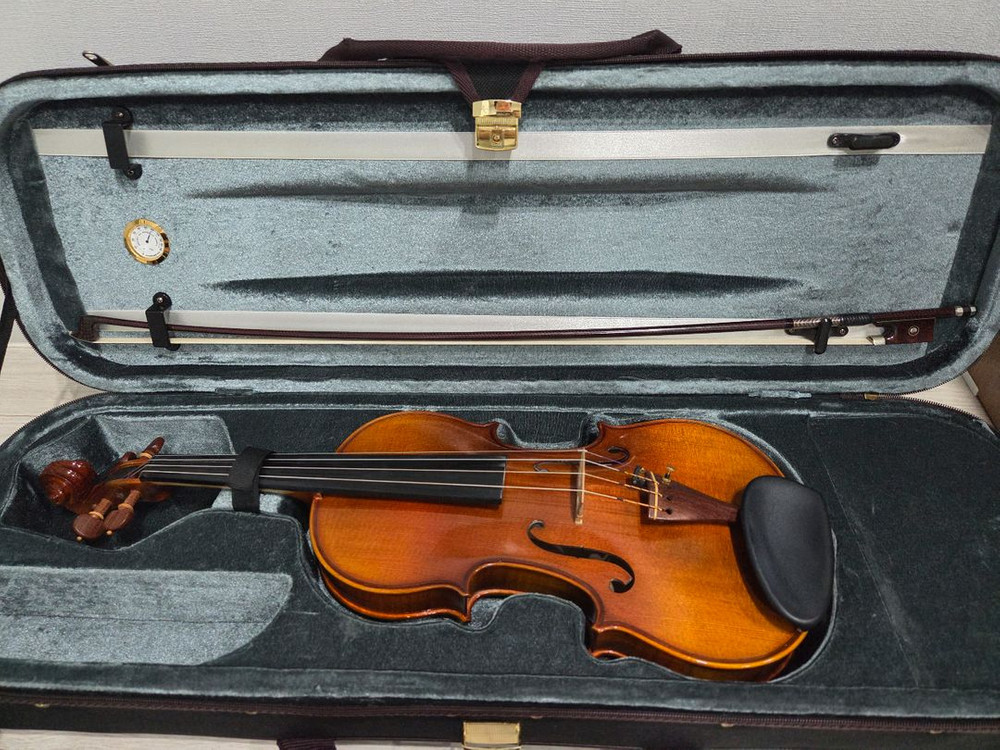 바이올린4/4 & 카본활 이미지