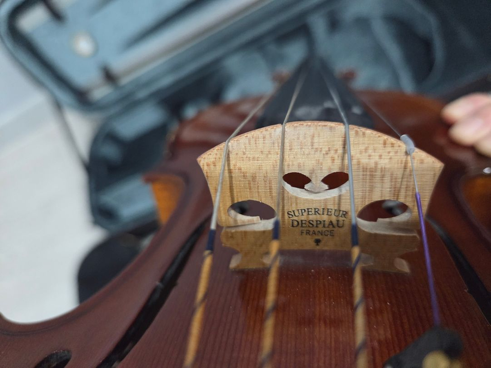 바이올린4/4 & 카본활 이미지