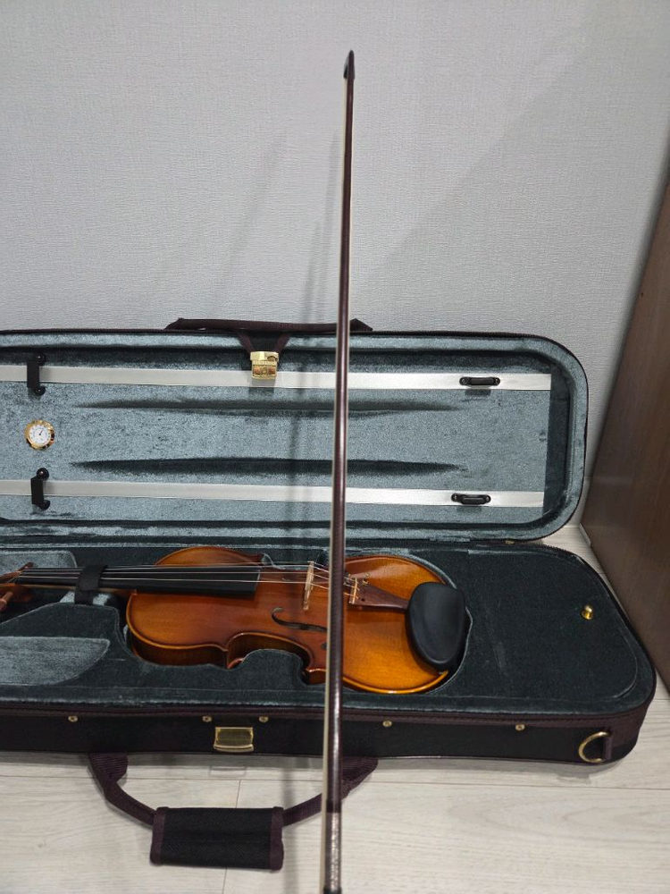 바이올린4/4 & 카본활 이미지