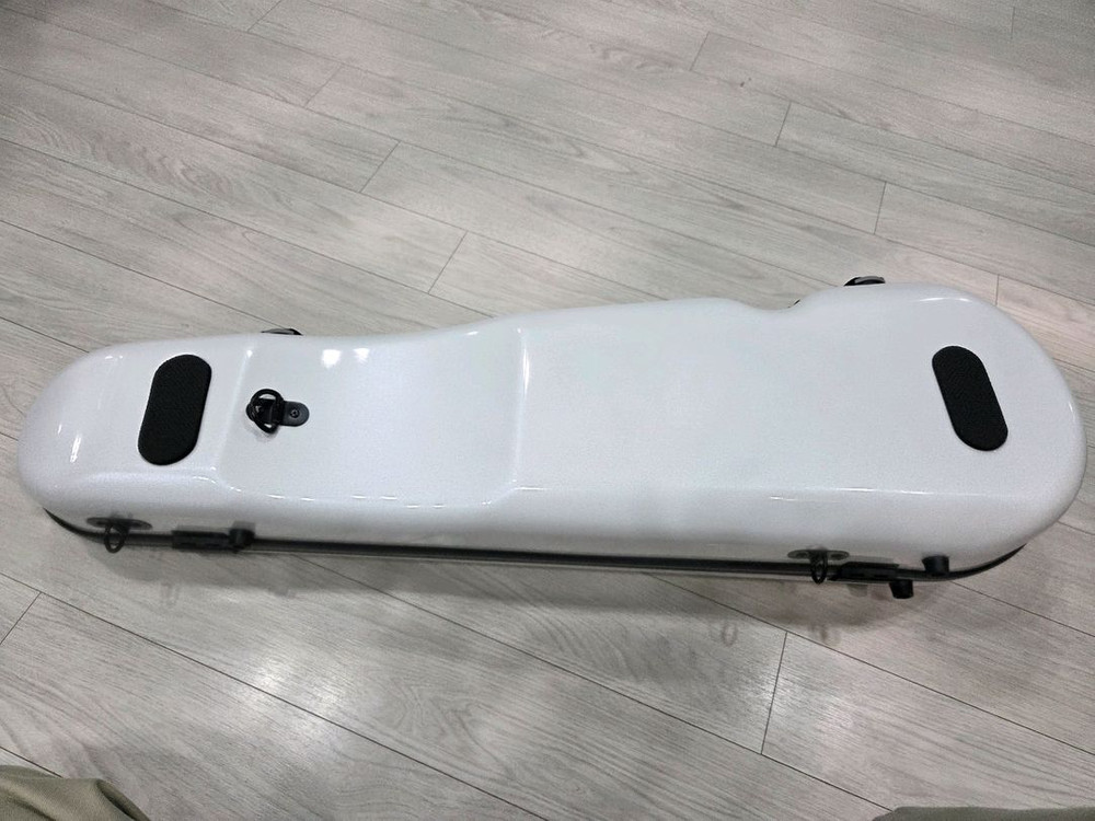 바이올린 삼각 하드케이스 이미지