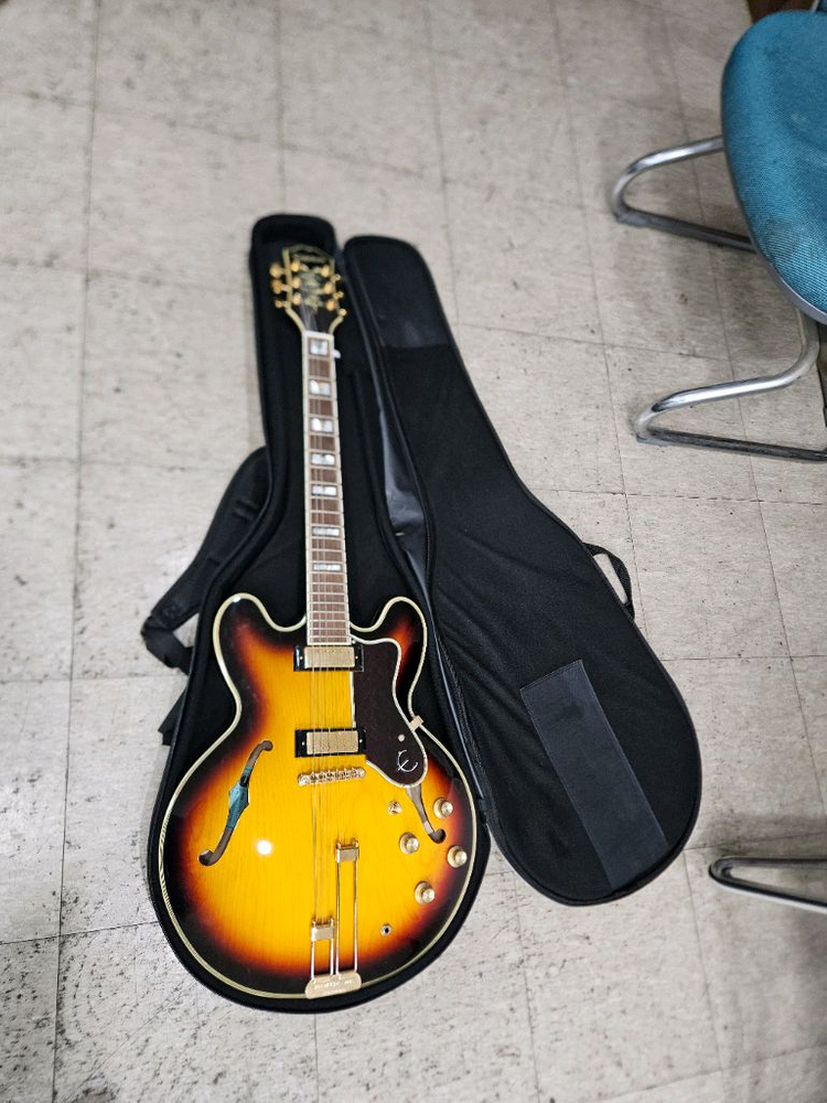 하프홀 아코디언 일렉기타 이미지