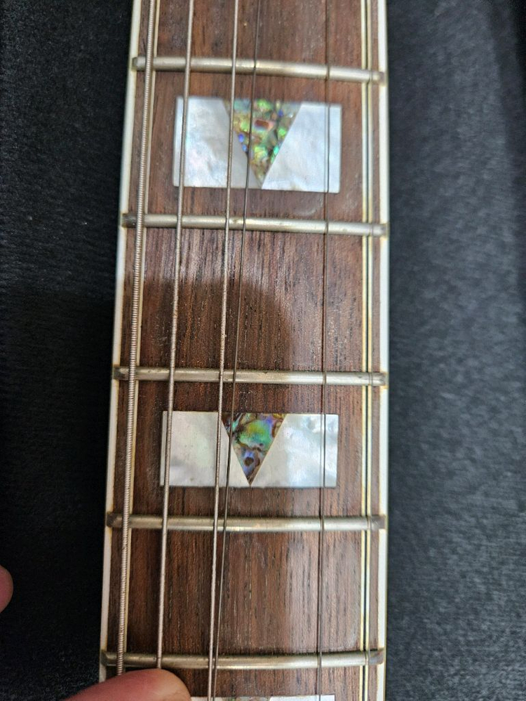 하프홀 아코디언 일렉기타 이미지