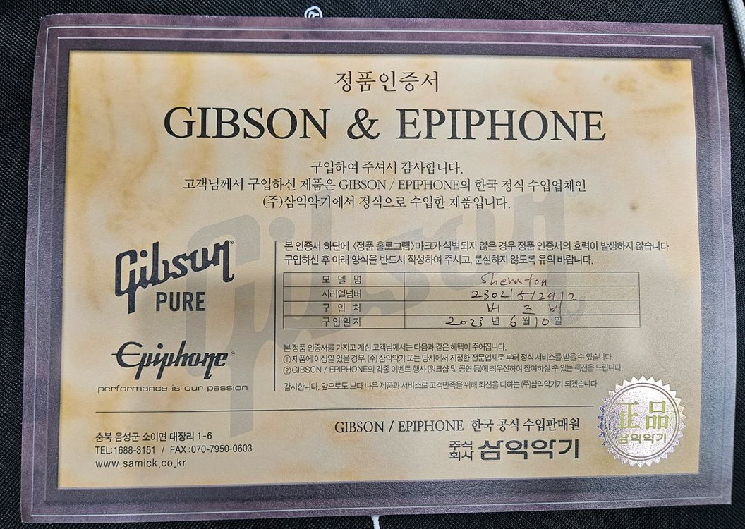 하프홀 아코디언 일렉기타 이미지