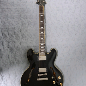 피어리스 리볼버 세미할로우 기타 이미지